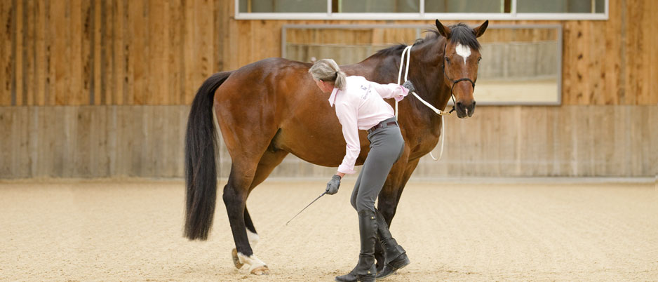 3339705_Christiane_Schwahlen_Natural_Horsemanship