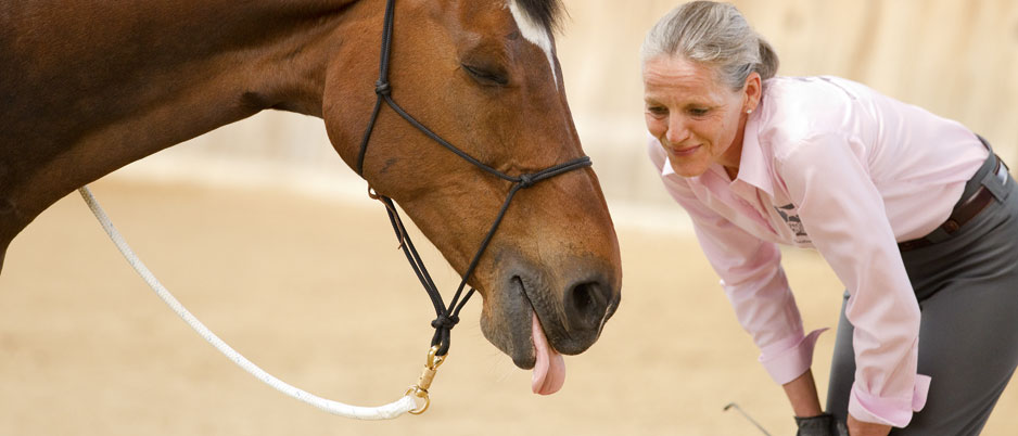 3339902_Christiane_Schwahlen_Natural_Horsemanship