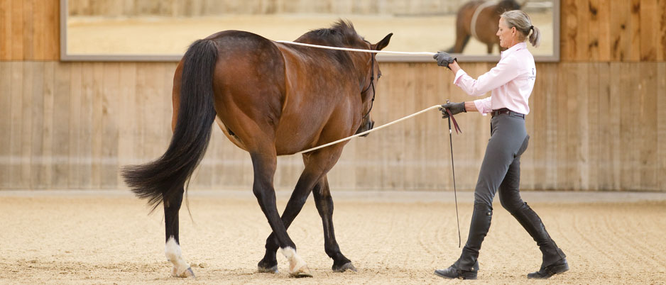 3339942_Christiane_Schwahlen_Natural_Horsemanship1