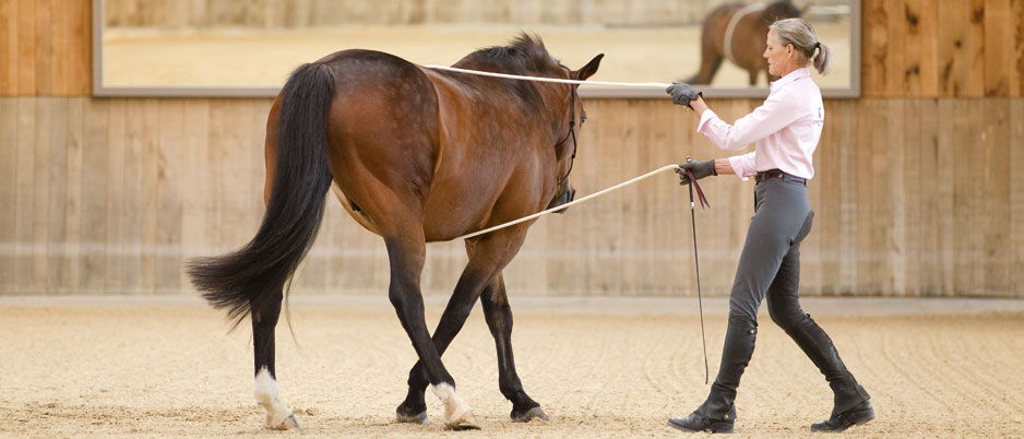 3339942_Christiane_Schwahlen_Natural_Horsemanship2