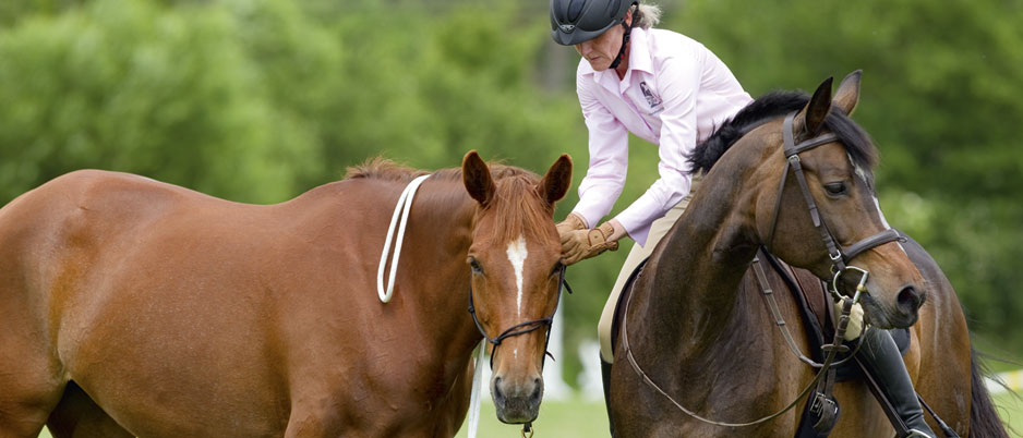 4446885_Christiane_Schwahlen_Natural_Horsemanship