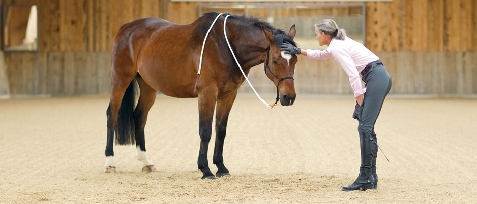 4447369_Christiane_Schwahlen_Natural_Horsemanship