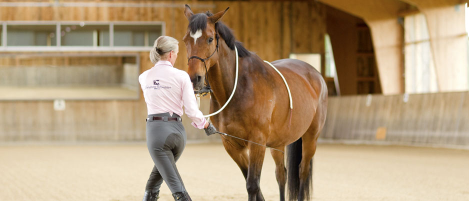 4447430_Christiane_Schwahlen_Natural_Horsemanship