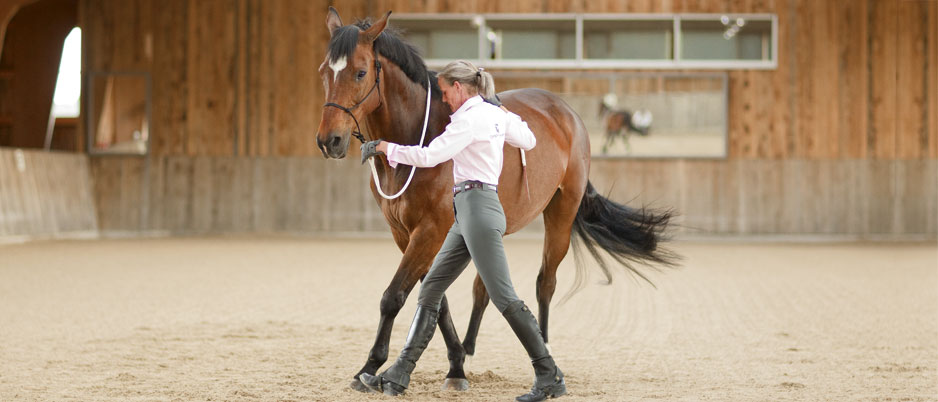 4447464_Christiane_Schwahlen_Natural_Horsemanship