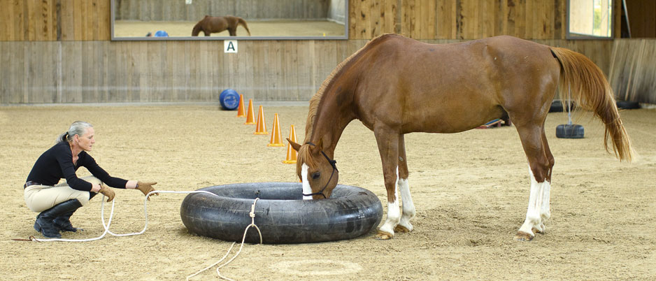 5558900_Christiane_Schwahlen_Natural_Horsemanship