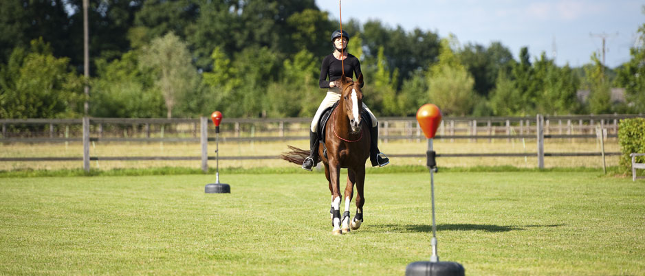 ASC8107_Christiane_Schwahlen_Natural_Horsemanship