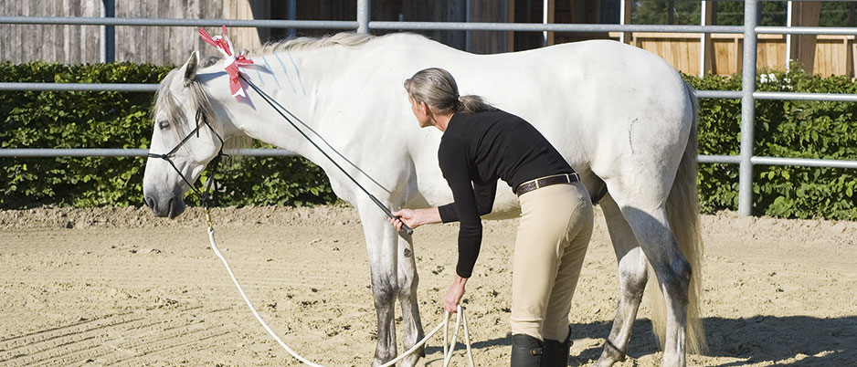 ASC8940_Christiane_Schwahlen_Natural_Horsemanship