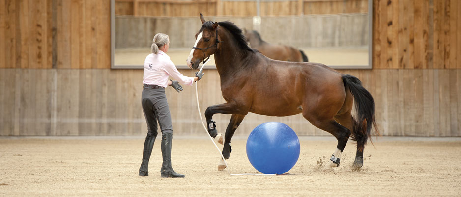 DSC2411_Christiane_Schwahlen_Natural_Horsemanship