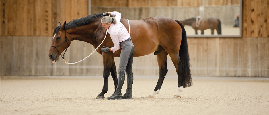 DSC2910_Christiane_Schwahlen_Natural_Horsemanship