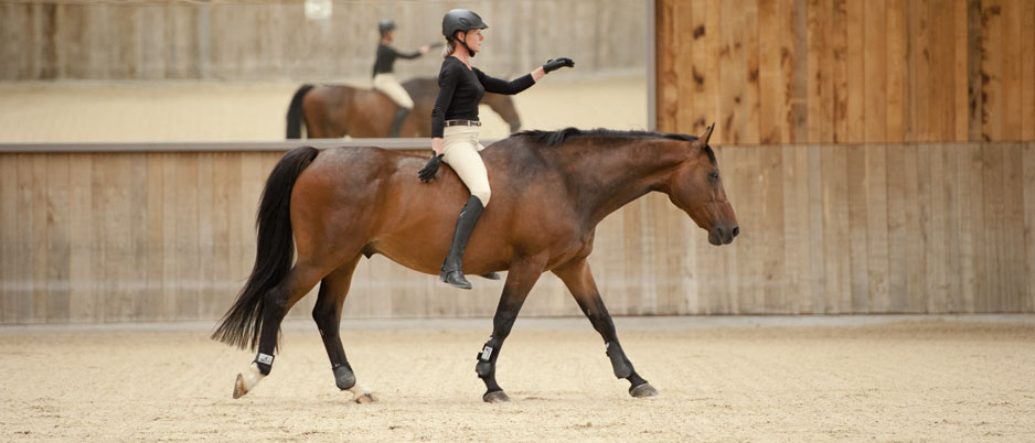 DSC3617_Christiane_Schwahlen_Natural_Horsemanship