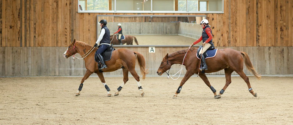 d0521_Christiane_Schwahlen_Natural_Horsemanship